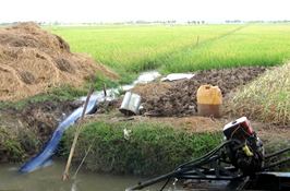 Trà Vinh Nạn khô hạn và xâm mặn kéo dài